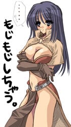 blue_eyes blue_hair blush breasts capelet cleavage favorite_empress gloves hakoiri_nyanko japanese_text loincloth long_hair mage mage_(ragnarok_online) magician panties pantyshot ragnarok_online underwear