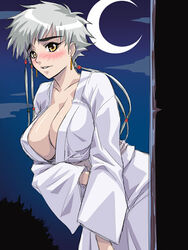 1girls asymmetrical_hair bleach blush breasts center_opening cleavage down_blouse female female_only huge_breasts kagami kotetsu_isane large_breasts moon night robe short_hair silver_hair solo utility_pole_spirit