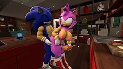 amy rose from sega by lowkeydiag