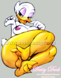 daisy duck from disney by liquidxlead