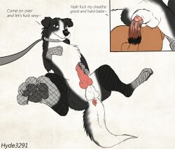 anus ass balls black_fur border_collie brown_eyes canine cock collar dante dialogue docking feet feral feral_on_human frotting human_on_feral human_penis knot leash lingerie looking_at_viewer male pawpads paws penis smile stockings toes white_fur