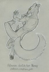 noxy (dhole) fan art