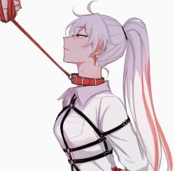 kiana kaslana from honkai (series) by kyeuji