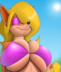 2girls anthro bikini blush breasts coco_bandicoot crash_(series) creatiffy fur furry large_breasts pink_bikini tawna_bandicoot