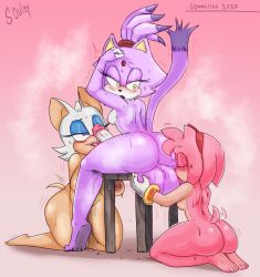 amy rose from sonic (series) by souley69