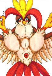 anus blush color female female_only front_view nintendo nude pidgeot pokémon_(species) pokemon solo tagme thecapedmanlloyd vulva