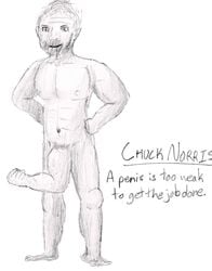 chuck_norris male_only tagme