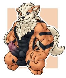 altenusy anthro anthro_only arcanine balls barazoku canid canine digital_media_(artwork) erection fur genitals knot male male_only mammal muscular muscular_anthro muscular_male nintendo nude pecs penis pokemon pokemon_(species) simple_background solo video_games