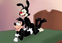 2boys absurd_res animaniacs anthro ass bed bedroom black_body black_fur canid canine canis clothed clothing crack_ship crossover digital_media_(artwork) disney domestic_dog duo erection foreskin fur furniture genitals glans gloves goof_troop handwear hi_res hot_dogging humanoid_genitalia humanoid_penis inkblot lying magzol male male/male mammal max_goof nude on_bed open_mouth partially_retracted_foreskin penis sex speedo swimwear tongue topless uncut warner_brothers yakko_warner