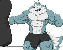 2022 abs anatake anthro barazoku biceps big_bulge big_muscles brand_new_animal bulge canid canine canis clothing collar exercise fist fur hi_res male mammal muscular muscular_anthro muscular_male navel nipples obliques pecs punch punching_bag quads shirou_ogami simple_background solo standing studio_trigger tuft underwear vein veiny_muscles white_background wolf workout