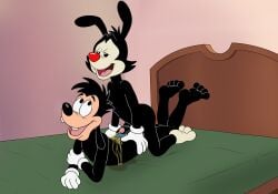 2boys absurd_res animaniacs anthro ass bed bedroom black_body black_fur bodily_fluids canid canine canis clothed clothing crack_ship crossover digital_media_(artwork) disney domestic_dog duo erection foreskin fur furniture genital_fluids genitals glans gloves goof_troop handwear hi_res hot_dogging humanoid_genitalia humanoid_penis inkblot lying magzol male male/male mammal max_goof nude on_bed open_mouth partially_retracted_foreskin peeing peeing_on_another penis sex speedo swimwear tongue topless uncut urine warner_brothers watersports yakko_warner