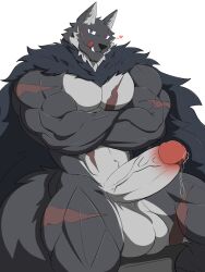 2022 anatake anthro balls barazoku biceps big_balls big_muscles big_penis blaidd_(elden_ring) bodily_fluids canid canine canis cape clothing crossed_arms elden_ring erection fromsoftware fur genital_fluids genitals heart hi_res huge_balls huge_cock huge_muscles humanoid_genitalia humanoid_penis licking licking_lips licking_own_lips looking_at_viewer male male_focus male_only male_solo mammal muscular muscular_anthro muscular_male nude pecs penis precum scar self_lick simple_background sitting smile solo solo_male teeth thick_penis tongue tongue_out tuft vein veiny_penis video_games white_background wolf