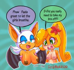 2girls blush breasts brown_areola brown_nipples coco_bandicoot crash_(series) crossover dark_areola dark_nipples female large_breasts multiple_girls nipples redmatzoo rouge_the_bat sonic_(series) yuri