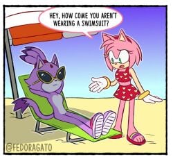 amy rose from sonic (series) by fedoragato
