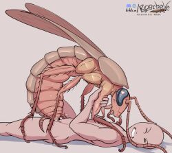 <3_eyes 1boy1girl antennae_(anatomy) arthropod arthropod_abdomen arthropod_abdomen_genitalia arthropod_abdomen_penetration arthropod_abdomen_pussy blattodea bodily_fluids body_hair brown_body clenched_teeth closed_eyes cockroach compound_eyes cowgirl_position cum cum_in_pussy cum_inside duo feelers female femdom feral from_front_position genital_fluids genitals giant_insect grey_background heart hi_res holding_leg human human_on_feral human_penetrating insect insect_girl insectophilia insects interspecies leg_hair lying male male/female male_on_feral malesub mammal multi_leg multi_limb on_back on_bottom on_top open_mouth orange_body penetration pussy red_body reverse_rape roachelle saliva sex shadow signature simple_background tan_body tan_skin teardrop tears teeth text url wings zoophilia