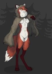 absurd_res anthro breasts canid canine chest_tuft cloak cloak_only clothing female fox garbagegarage genitals hi_res hood inner_ear_fluff mammal navel nipples pussy solo tuft yellow_eyes