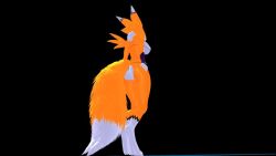 3d animated anthro ass bad_anatomy bikini breast dancing digimon digimon_tamers female_focus fur furry long_video mmd music nipples orange_fur renamon sound tail tetramundo video walking