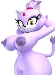 3d_(artwork) anthro argos90 big_breasts blaze_the_cat blender_(artwork) breasts digital_media_(artwork) female hi_res nude nude_female sega solo sonic_the_hedgehog_(series)