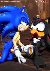 shadow the hedgehog from sega by bbmbbf