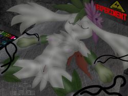 anthro arms_tied bondage bondage bound breasts closed_eyes electricity electrostimulation eulipotyphlan female generation_4_pokemon genitals hedgehog laying_on_table legendary_pokemon legs_tied lying mammal navel nintendo pokemon pokemon_(species) pussy shaymin silavos sky_forme_shaymin solo watermark white_body wire