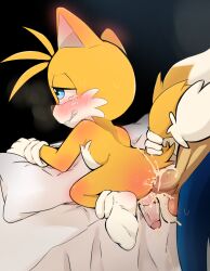 2boys balls blush cub cum_in_ass fox furry male_only playyfox sonic_(series) sonic_the_hedgehog sonic_the_hedgehog_(series) tails tails_the_fox yaoi young