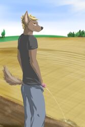 1boy absurd_res arcwolfdragon athletic athletic_male blonde_hair bodily_fluids bottomwear brown_body brown_fur canid canine canis clothed clothing domestic_dog field foreskin fur genital_fluids genitals grin hair hi_res holding_penis looking_at_viewer male male_only mammal open_bottomwear open_clothing open_pants orange_eyes pants peeing penis penis_tip puddle shirt smile solo topwear urine watersports