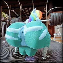 3d 3d_(artwork) anthro blender_(software) blender_cycles exposed_ass exposed_butt exposed_pussy gym gym_clothes looking_back_at_viewer my_little_pony my_little_pony_friendship_is_magic partial_nudity rainbow_dash_(mlp) shocked_expression velvet_charm wardrobe_malfunction weightlifting