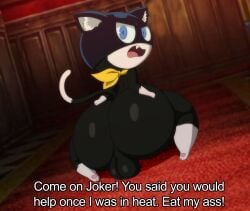 absurd_res akira_kurusu angry angry_eyes anthro ass atlus balls bandana bandanna_on_neck big_ass big_butt black_body black_fur blue_eyes dialogue domestic_cat english_text felid feline felis femboy fur genitals hand_on_butt hi_res huge_ass huge_butt joker_(persona) kerchief kiffy_(artist) looking_at_another looking_back male male_focus male_only mammal mask megami_tensei morgana_(persona) offscreen_character offscreen_male open_mouth pawpads perineum persona persona_5 presenting presenting_hindquarters red_carpet ren_amamiya screencap screencap_background solo solo_male subtitled teeth text thick_thighs unseen_character video_games white_body white_fur wide_hips yellow_bandanna yellow_kerchief