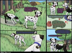 animal_genitalia animal_pussy anus arthropod bird_dog blush canid canine canine_genitalia canine_pussy canis collar comic comic_page cuddling dalmatian distance_(tag) domestic_dog duo female feral flirting forest genitals german_text grass grasshopper hi_res hill hunting_dog insects jess_(kinaj) kinaj labrador mammal map mixed_breed mountain multi_nipple nipples orthopterid page_7 page_number path plant pussy retriever sibling_(lore) sister_(lore) sisters_(lore) tag tail tail_motion tailwag tamara_(kinaj) text tree