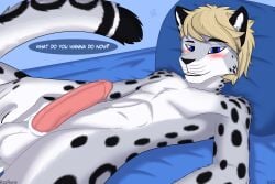 1boy absurd_res anthro blonde_hair blush felid fingers fur genitals grey_body grey_fur hair happy hi_res kaz_(kazrune) kazrune looking_at_viewer lying male male_only mammal nude on_back pantherine penis presenting presenting_penis side_view simple_background slim smile snow_leopard solo speech_bubble text white_body white_fur