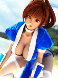 3d all_fours beach breasts brown_eyes brown_hair choker cleavage dead_or_alive female incise_soul kasumi_(doa) large_breasts lips long_hair looking_at_viewer m-rs no_bra no_panties ponytail public_indecency solo thighhighs