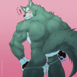 anthro anus ass back_muscles bara blush breke canid canine canis clothing embarrassed exclamation_point harzu hi_res lifewonders looking_back male male_only mammal muscular muscular_anthro muscular_male solo thong tokyo_afterschool_summoners underwear video_games wolf