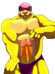 2022 bara cock dick gameattackgogo1 koopa koopaling male male_only mario_(series) muscular nintendo penis pointing_at_penis pulling_underwear_down roy_koopa shades sharp_teeth smiling speedo sunglasses underwear yellow_penis