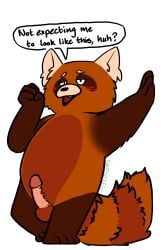 ailurid anthro balls blush disney erection fan_character fur genitals hi_res humanoid_genitalia humanoid_penis knotsosfw looking_at_viewer male mammal penis pixar red_panda solo turning_red white_background