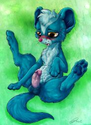 2013 balls blue_body blue_fur blush bodily_fluids chest_tuft cum digital_media_(artwork) dimwitdog feet feral fur genital_fluids genitals hasbro head_tuft herpestid hi_res leg_fluff littlest_pet_shop looking_at_genitalia looking_at_own_penis looking_at_penis looking_at_self lying male male_only mammal mongoose open_mouth pawpads penis pink_penis signature solo spread_legs spreading sunil_nevla sweat tuft vein veiny_penis whiskers yellow_eyes