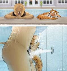 2boys absurd_res anthro balls bodily_fluids closed_eyes cum cum_in_water cum_underwater cumshot cumshot_in_water duo echto ejaculation erection felid fur genital_fluids genitals half-closed_eyes hi_res humanoid_genitalia humanoid_penis lion looking_pleasured male male_only male_penetrated mammal masturbation narrowed_eyes nude pantherine partially_submerged penile penile_masturbation penis pool_jet standing striped_body striped_fur stripes swimming_pool tiger tongue tongue_out underwater water