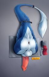 2018 anthro anus ass backsack balls blue_body blue_fur character_name condom condom_dispenser countershade_butt countershading digital_media_(artwork) dipstick_tail dlw erection fur gaping gaping_anus genitals grey_wall hi_res male male_only marker markings markus_(dowantanaccount) multicolored_body multicolored_fur penis perineum public public_use sergal sexual_barrier_device solo stuck tail tail_markings tail_restraint tail_tuft through_wall tuft two_tone_body two_tone_fur unused_condom wall_(structure) white_body white_fur wrapped_condom writing_utensil