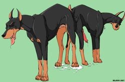 2boys anal anal_penetration anal_sex animal_genitalia animal_penis canine canine_genitalia canine_penis cum desoto_(disney) disney doberman dog domestic_dog feral feral_on_feral feral_penetrated feral_penetrating feral_penetrating_feral gay klaus_doberman knotting male male/male male_only male_penetrated male_penetrating mammal oliver_and_company penis roscoe_(disney) yaoi