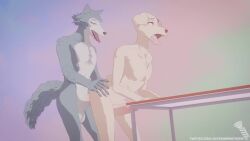 16:9 3d_(artwork) 3d_animation anal anal_sex animated anthro balls beastars bent_over bent_over_table big_balls big_penis bird_dog bouncing_balls bouncing_penis canid canine canis digital_media_(artwork) domestic_dog duo from_behind_position gay genitals hi_res hunting_dog jack_(beastars) labrador legoshi_(beastars) looking_pleasured male male/male male_penetrated male_penetrating male_penetrating_male mammal no_sound penetration penis retriever screwingwithsfm sex short_playtime stomach_bulge tagme video widescreen wolf