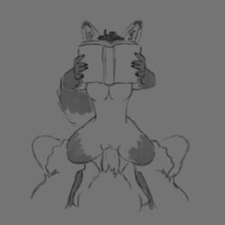 2022 ais05 animated anthro bat-eared_fox black_nose book breasts canid canine digital_media_(artwork) featureless_breasts female female_penetrated fennec fox fur genitals hair helena_(paledrake) hidden_face holding_object male male/female male_penetrating male_penetrating_female mammal no_nipples nude penetration pussy reading sex simple_background solo vaginal_penetration