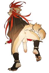 2022 anthro anus ass backsack balls big_penis black_clothing canid canine canis claws clothing domestic_dog genitals hair hi_res humanoid_genitalia humanoid_penis kemono looking_at_viewer looking_back male mammal milkytiger1145 pawpads penis red_hair simple_background solo white_background