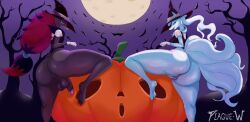 1boy1girl alolan_ninetales balls bat big_ass dead_tree femboy generation_5_pokemon generation_7_pokemon girly gloves halloween halloween_costume huge_ass jack-o'-lantern looking_at_viewer looking_back moon night ninetales penis plague_w pokemon pokemon_(species) presenting presenting_hindquarters pumpkin pussy smile witch_costume witch_hat zoroark