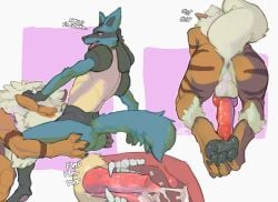 absurd_res animal_genitalia anthro anthro_only anus arcanine ass backsack balls big_penis blue_body blue_fur bodily_fluids butt_grab canid canine closed_eyes cum cum_in_mouth cum_inside cumshot duo ejaculation erection fellatio feral fur gay generation_1_pokemon generation_4_pokemon genital_fluids genitals hand_on_butt hands-free head_grab hi_res internal internal_fellatio internal_oral knot lucario male male/male male_penetrating mammal neck_tuft nintendo nude open_mouth oral oral_penetration orgasm orgasm_from_oral penetration penile penis penis_backwards penis_on_tongue pokemon pokemon_(species) precum rear_view sex sheath side_view simple_background tail teeth text tongue tuft voidpastelchalk white_body white_fur