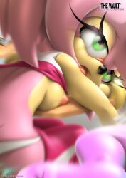 amy_rose breasts_out sonic_(series) sonic_the_hedgehog_(series) tcprod