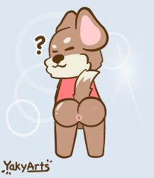 absurd_res anthro anus ass balls canid canine canis digital_media_(artwork) domestic_dog fur genitals hair herding_dog hi_res humanoid_genitalia male male_only mammal nude pastoral_dog presenting presenting_hindquarters simple_background smile solo spreading welsh_corgi yaky_(yakyarts) yakyarts