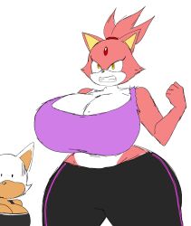 2023 2girls angry angry_female anthro ass_window big_ass big_breasts blaze_the_cat boob_window burning_blaze clothed female female_only fur furry huge_ass huge_breasts mobian_(species) momiji_(artist) no_underwear rouge_the_bat sega sonic_(series) sports_bra sportswear