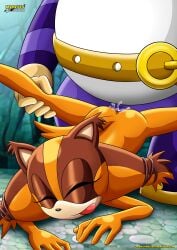 bbmbbf big_the_cat furry male mobius_unleashed palcomix sega sonic_(series) sonic_boom sticks_the_badger sticks_the_jungle_badger sticks_the_tejon