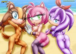 amy_rose ass badger bandicoot bbmbbf beach brown_body eulipotyphlan furry hedgehog large_breasts looking_at_viewer mobius_unleashed palcomix perci_the_bandicoot pink_body purple_body pussy sega small_breasts sonic_(series) sonic_boom sticks_the_badger sticks_the_jungle_badger sticks_the_tejon stockings water