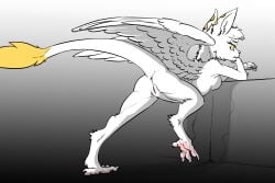 angel anthro anus ass breasts claws dragon feathered_dragon feathers female fur furred_dragon genitals halo hi_res hybrid presenting presenting_anus presenting_pussy pussy raised_tail small_breasts solo tail white_body white_fur wings yellow_eyes zafara_(artist) zafara_(character)