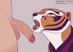 1boy 1girls animated anthro blowjob cum_in_mouth deep_throat edit female furry human human_on_anthro interspecies itroitnyah kung_fu_panda licking_penis looking_at_partner master_tigress no_gag_reflex no_sound oral sliding sliding_down_throat snowskau tagme throat_bulge tigress tongue_out tongue_out_blowjob video